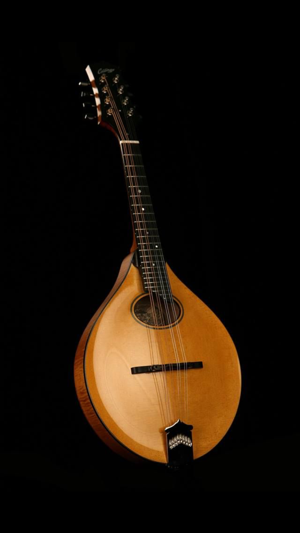 Mandolin picture